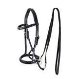 Dietsji jaw-crossed bitless bridle including reins