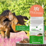 Vitalbix PsylliumMash slobber