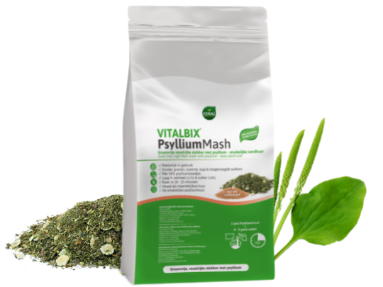 Vitalbix PsylliumMash slobber
