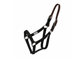 BreakAway halter