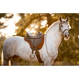 Pro Cheyenne veelzijdigheidszadel