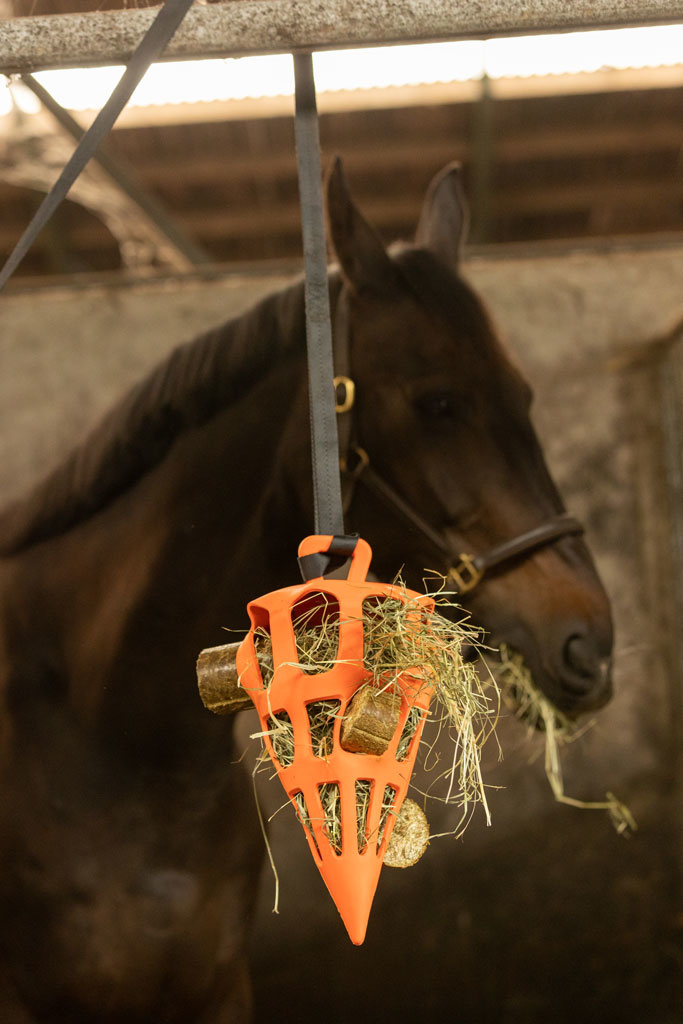 Hay+ Vegetable Nibble Block for Horses