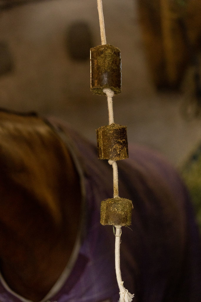 Alfalfa nibble block with play rope for Horses