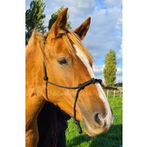 Rope halter with 4 knots on the nose