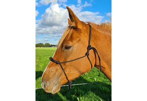 Rope halter with 4 knots