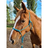 Knotenhalfter Profi made in europe