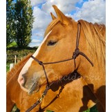 Knotenhalfter Profi made in europe