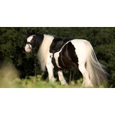 Bareback pad Iberica Plus lambskin