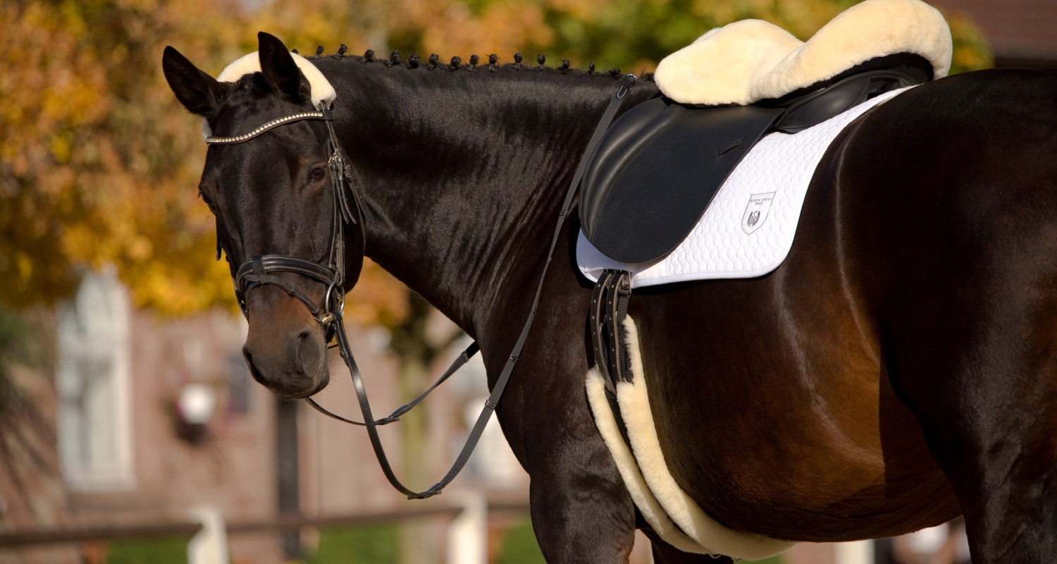 Anatomischer Lammfellgurt weich