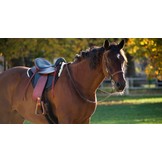 Lambskin treeless saddle pad for inserts soft