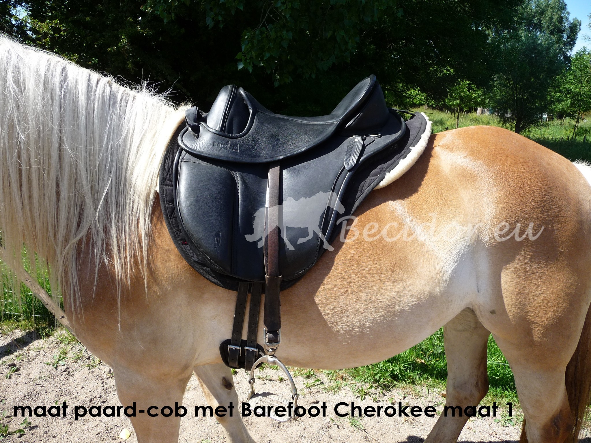 Lamsvel boomlooszadel pad voor inlages zacht