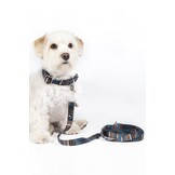 Dogs trainings leash -Anam Cara- printed