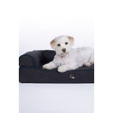 Hondensofa -Anam Cara-