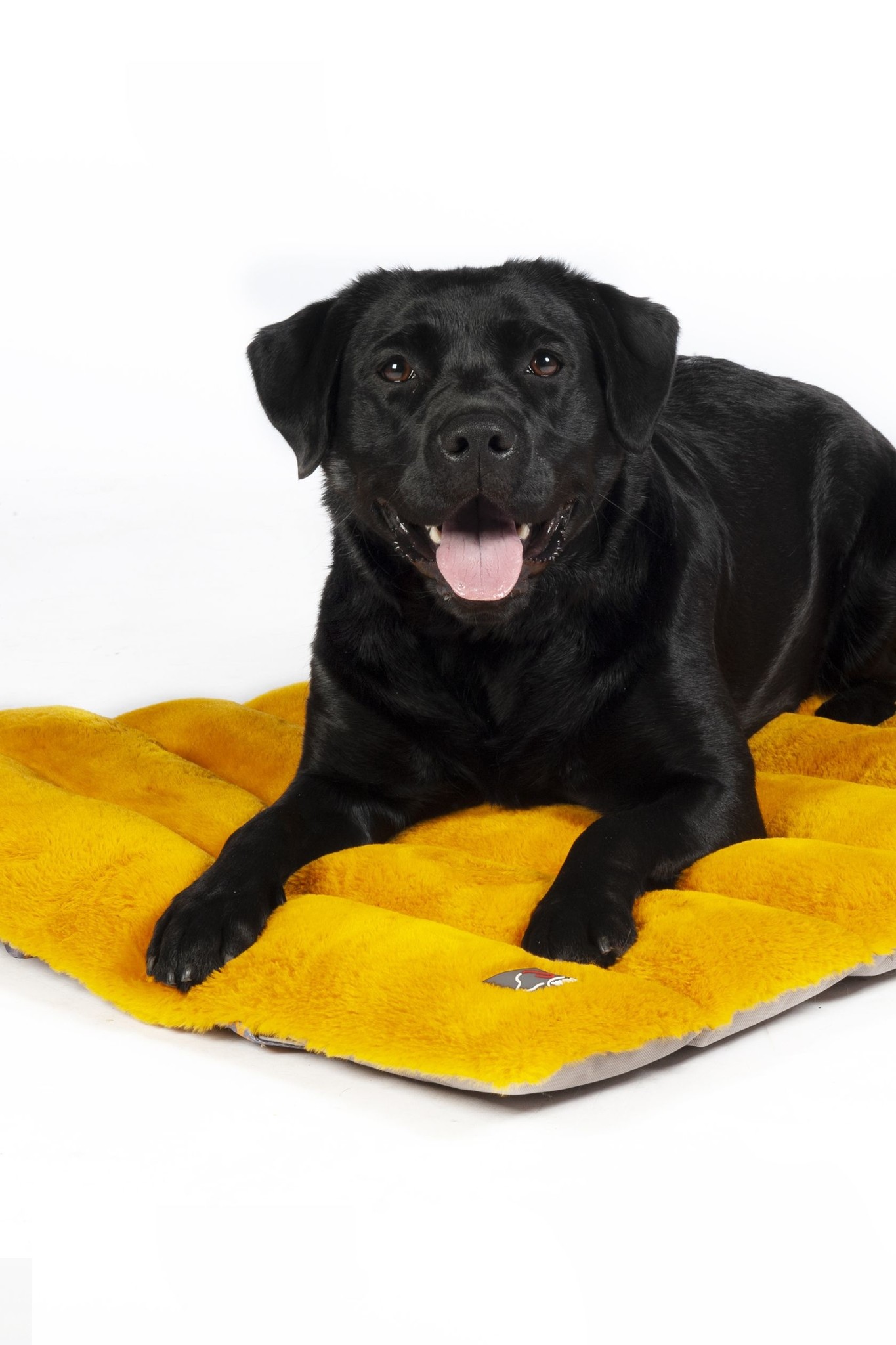 Dog travel blanket Anam Cara Travel