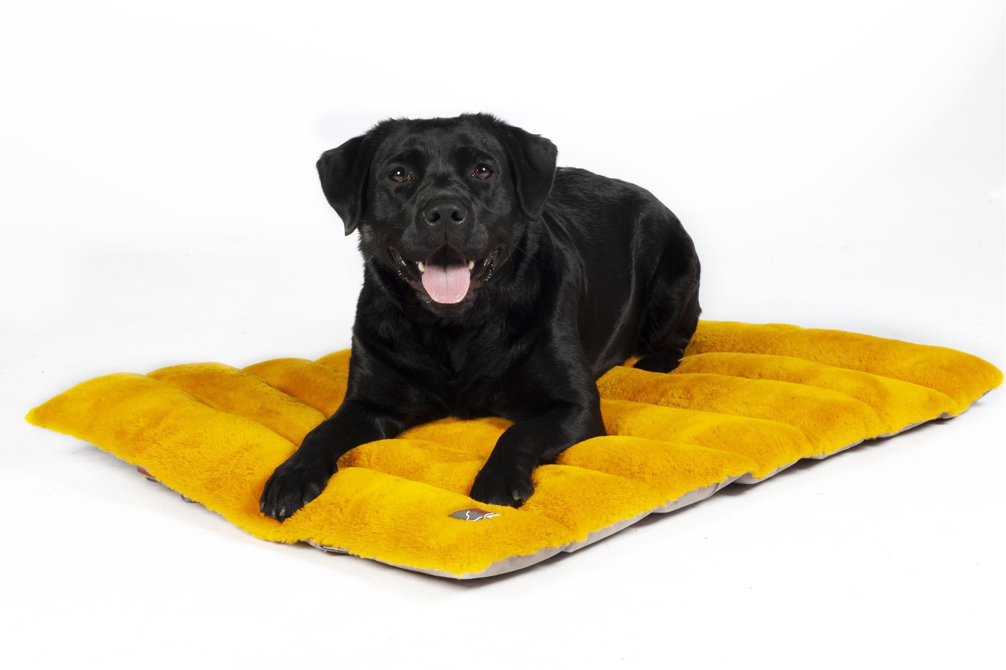 Hunde Reisedecke Anam Cara Travel