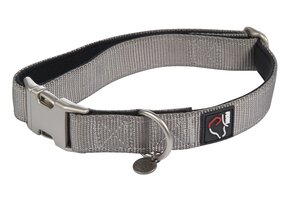 dog collar