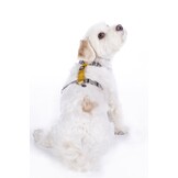 Dog harness -Anam Cara Basic- nylon