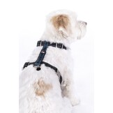 Hundegeschirr -Anam Cara Basic- Nylon