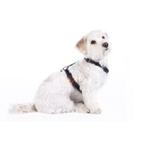 Dog harness -Anam Cara Basic- nylon