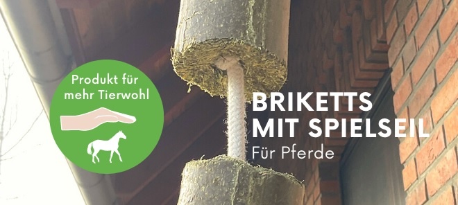 Luzerne knabbelblokken aan Speeltouw voor Paarden