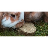 Weide Knabbelschijfjes voor knaagdieren