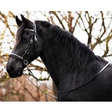 Pardoes de luxe sidepull bitless bridle Leder