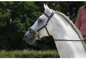 Fiore hackamore hoofdstel