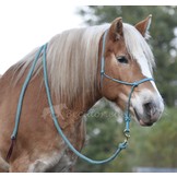 Leadrope Ecoluxe Bambus