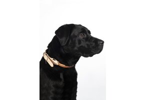 Hondenhalsband- Anam- Cara kabeltouw