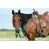 Vorderzeug Ecoluxe Bambus