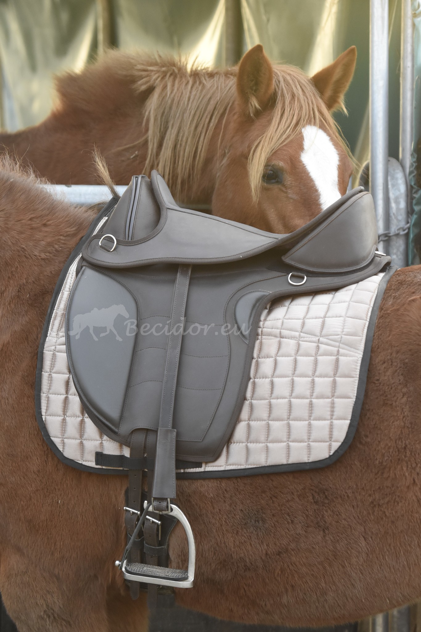 Testzadel Libre leder maat M