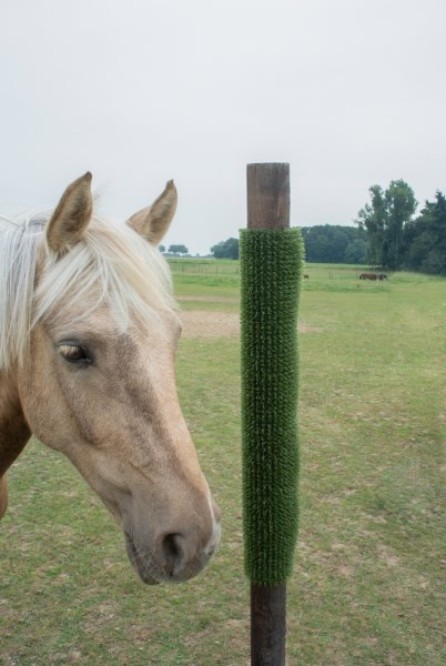 Kratz- und Reinigungsmatte KratzPad