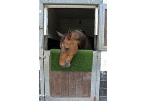 Kratz- und Reinigungsmatte