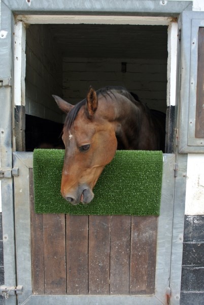 Scratch and Cleaning Mat