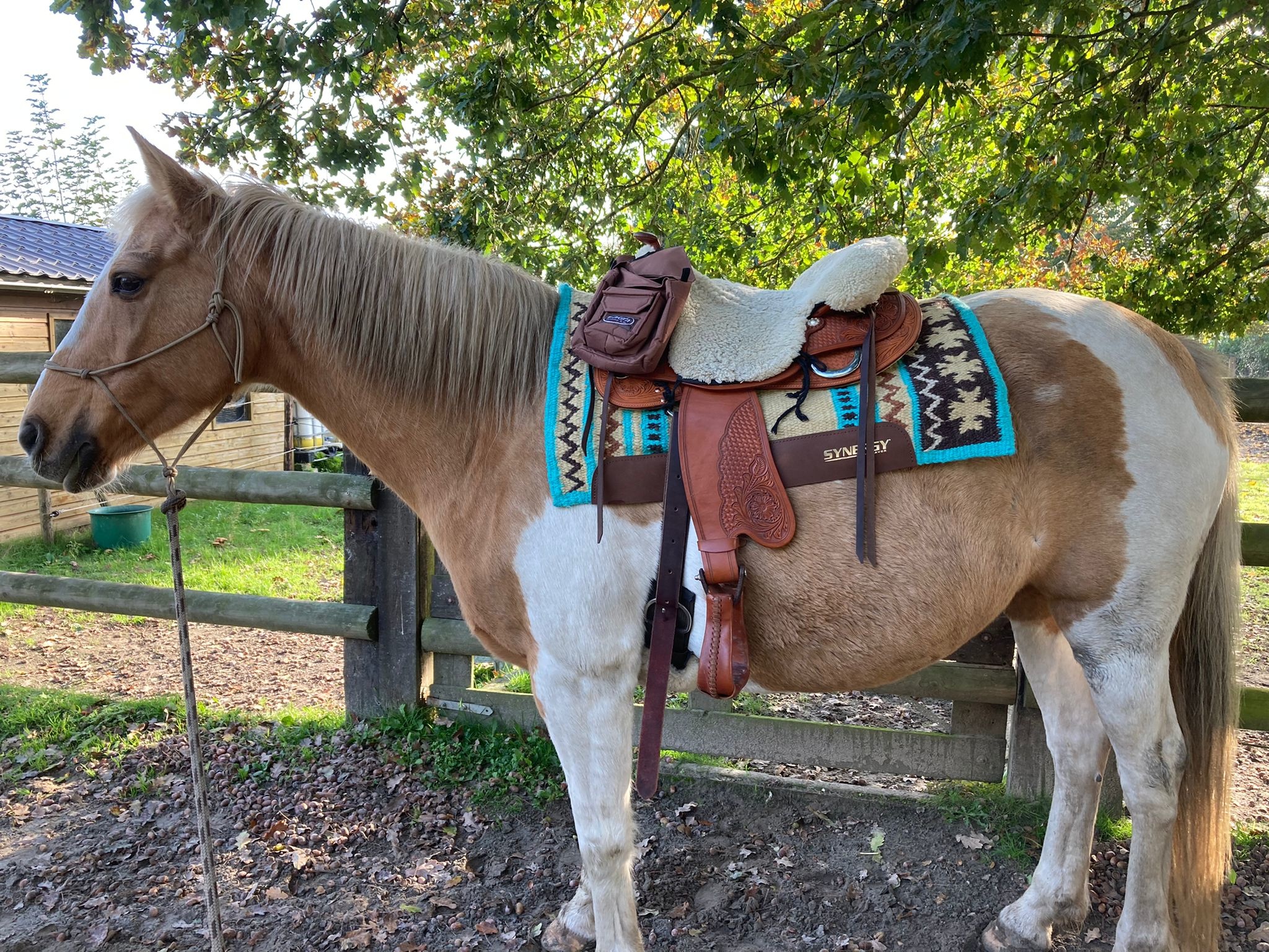 westernpad Synergy - Suitable for treeless saddles