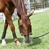 Grazing muzzle flexible and ventilating