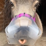Grazing muzzle flexible and ventilating