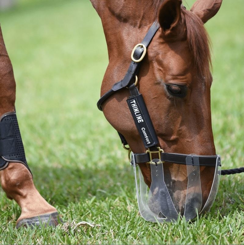 Grazing muzzle flexible and ventilating