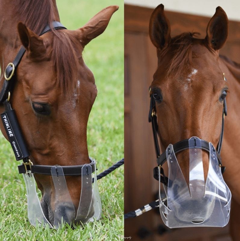 Grazing muzzle flexible and ventilating
