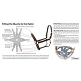 Grazing muzzle flexible and ventilating