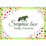Surprise cadeaubox
