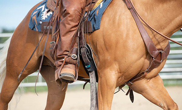 Airflex Smart westernsingel high comfort