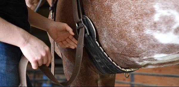 Airflex Smart westerngurt hoher Komfort