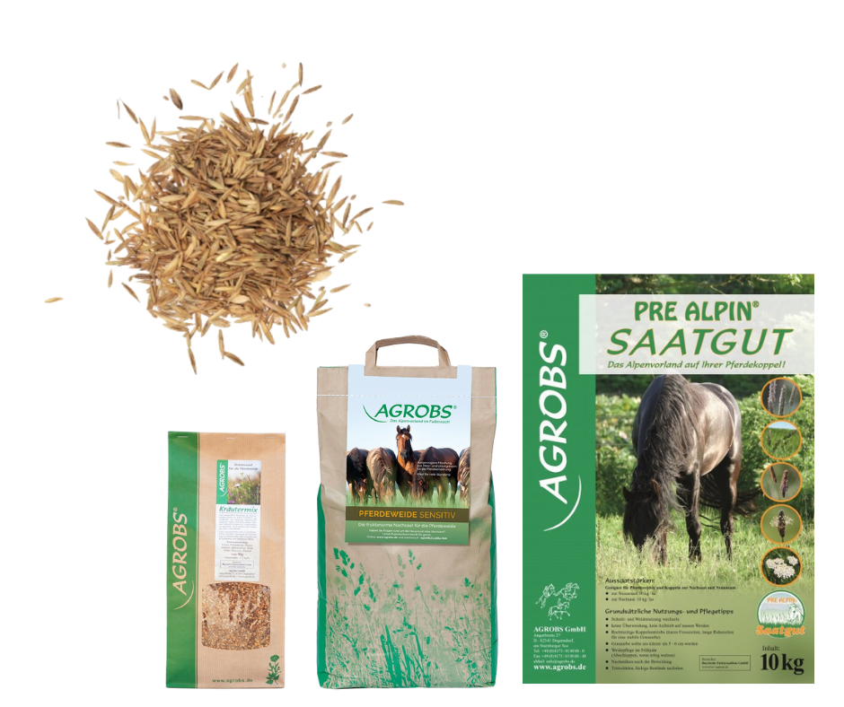 Verschillende Agrobs graszaden