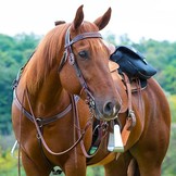 Trail Gear premium zadeltas