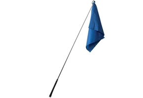 Stick met vlag