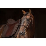 Soft Feel Barock Zaum Punzierung Leder