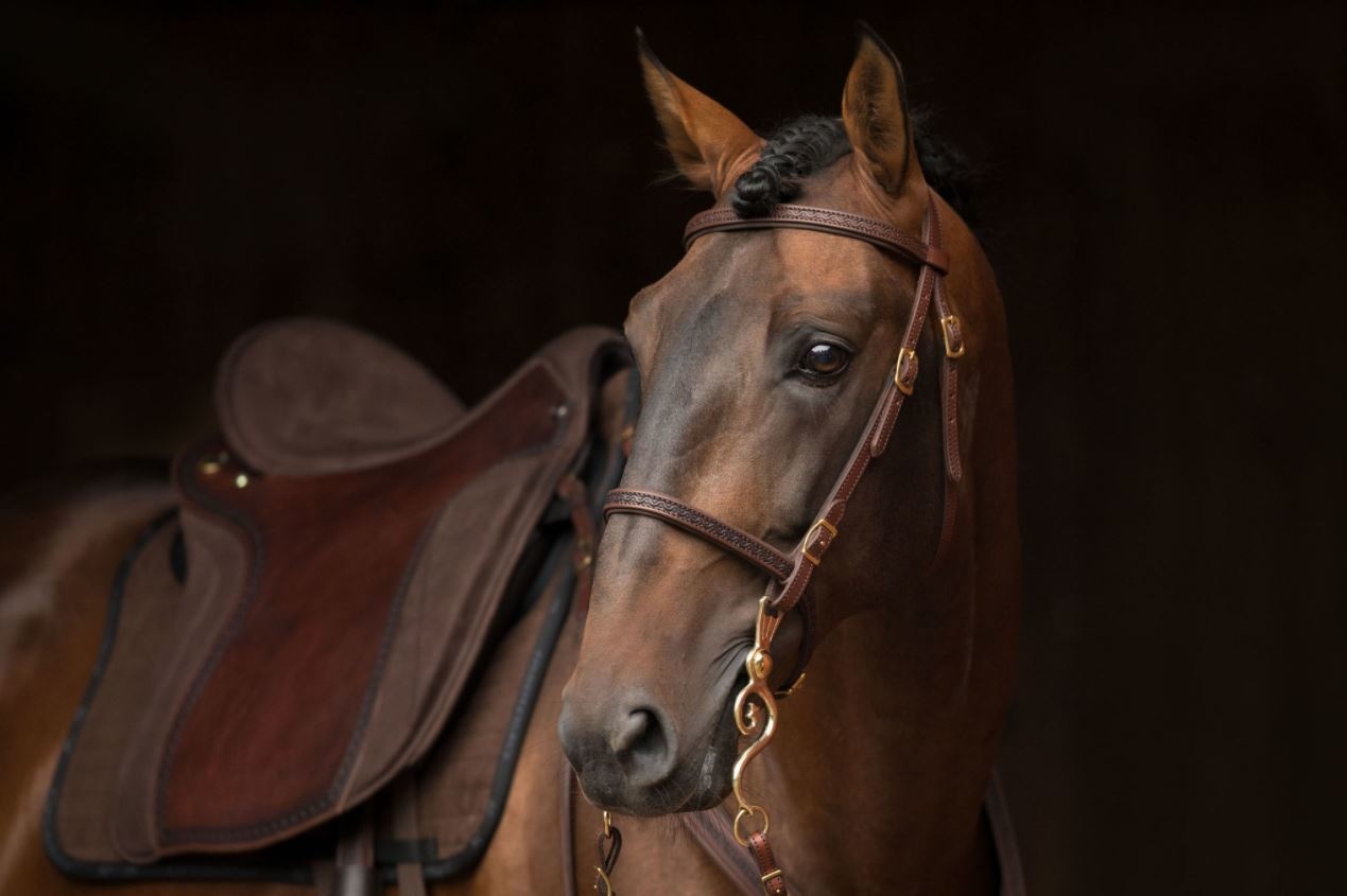 Soft Feel Barok tooling hoofdstel leer