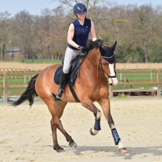 Boomlooszadeldekje 3D Air Effect Flexi met inlages