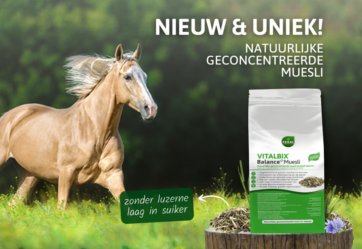 Balance+ Muesli Balance + Muesli natural, concentrated muesli